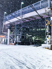東京の大雪