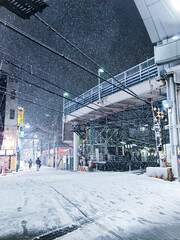 大雪が降った東京