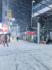東京の大雪