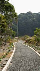 まっすぐ伸びる道