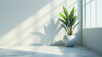 A potted plant in a white ceramic pot is placed on a tiled floor near a window, with sunlight casting shadows on the wall - obrazy, fototapety, plakaty