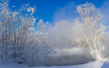 winter landscape trees in hoarfrost on the river bank and blue sky