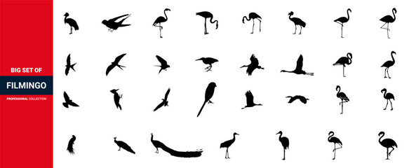 Flamingo silhouette set, Flamingo silhouette, vector, illustration Design. Couple flamingos in love. Outline flamingo.