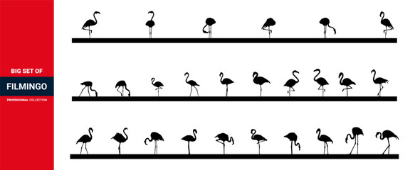 Flamingo silhouette set, Flamingo silhouette, vector, illustration Design. Couple flamingos in love. Outline flamingo.