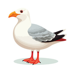 Flat cartoon seagull isolated on white background 