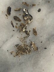 Ambergris whale vomit used in perfume making it is made by sperm whale to protect its digestive tract, ambergris is expensive and rare