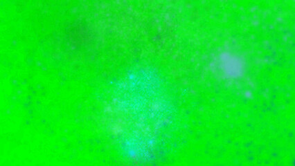 green and background