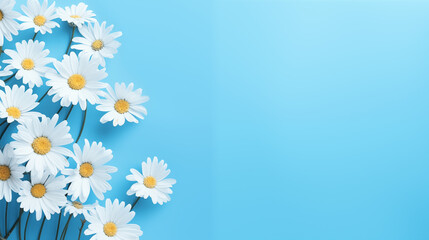 Fototapeta premium Daisies on Blue Background: Delicate Flowers in Vibrant Contrast