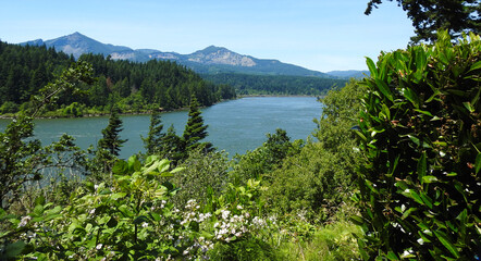 Fototapeta na wymiar Columbia River Gorge Scenic Area, Oregon, United States