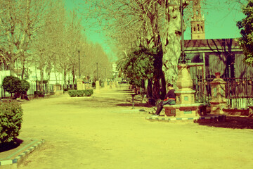 Variations on Alameda Alfonso XIII in Carmona, Seville