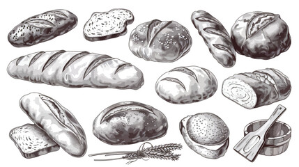 Bread collection illustration vintage engraving style