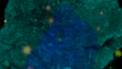 coral reef in the sea