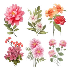 PNG Set of floral branch watercolor elements