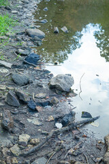 Stones of the lake. Environment