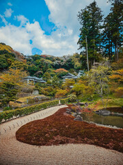 The Nature Is The House Of Meditation 