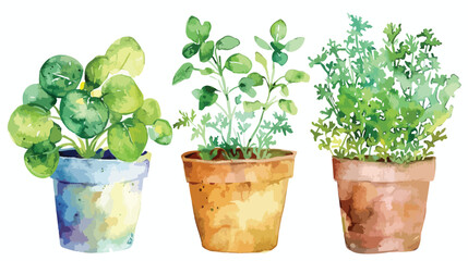 Watercolor illustration with garden seedlings of gre