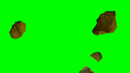 leaf on a black background