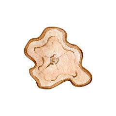 Watercolor wood slice clipart Illustration