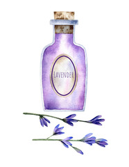 Glass bottle with lavender oil, stoppered, lavender sprigs set of hand drawn watercolor elements isolated on transparent background
