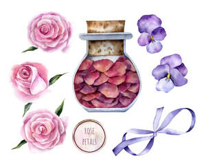 Glass container with dry flower petals, closed with a cork, Flowers and leaves of pink roses, tricolor violets, lilac ribbon tied with a bow watercolor elements isolated on transparent background
