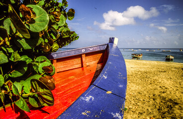 Playa Manzanillo.Isla Margarita. State of Nueva Esparta. Venezuela.