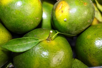 
Oranges are a popular citrus fruit known for their refreshing taste and nutritional benefits. They belong to the Rutaceae family and are cultivated in tropical and subtropical regions around the worl