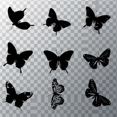 Fototapeta premium Collection of butterflies silhouettes