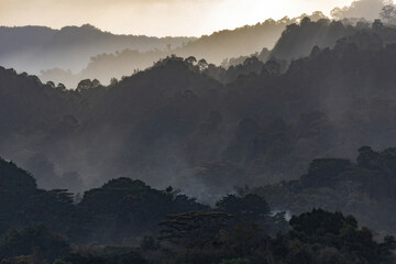 Sunset on the hilltop at Borneo rainforest sun rays going through the clouds Malaysia