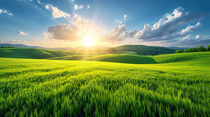 Obraz premium Scenic Green Field Natural Scenic Panorama Featuring a Green Field
