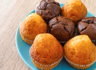 A group of chocolate and plain magdalenas, the typical spanish muffins in the plate on the table.