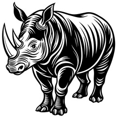 rhino isolated on white background