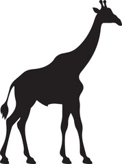 Giraffee Silhouette Vector Illustration White Background
