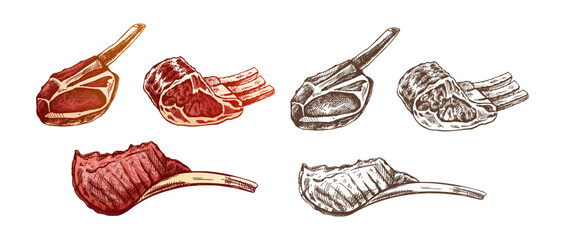 Hand-drawn colored and monochrome vector sketches of pork, beaf, lamb ribs, piece of meat, set. Doodle vintage illustration. Decorations for the menu. Engraved image. © Mariia Mazaeva