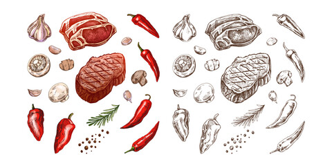 Set of hand-drawn colored and monochrome sketches of barbecue elements. For the design of the menu of restaurants and cafes, grilled food. Pieces of meat and vegetables with seasonings..