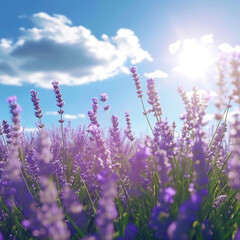 Obraz premium Close-up of lavender flowers against a blue sky. Aromatherapy and organic cosmetics concept. Generative AI
