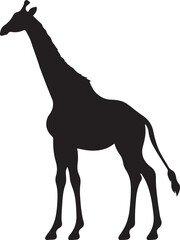 Giraffee Silhouette Vector Illustration White Background