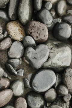 heart shaped stones
