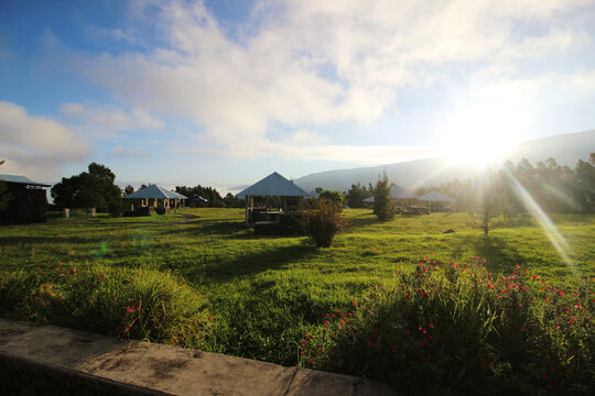landscape in the morning