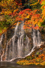 Fototapeta na wymiar 日本　青森県黒石市にある中野もみじ山のライトアップされた紅葉と不動の滝