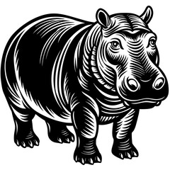 rhino isolated on white