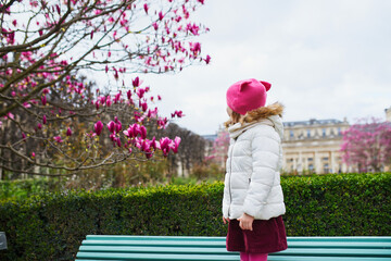 Preschooler girl looking at pink magnolia in full bloom on a street of Paris, France