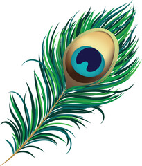 Peacock feather illustration for decoration, festivals