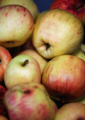 Apples, bunch and fresh nature closeup, picked fruit for growth with vitamins and organic benefits. Agricultural, harvest season or nutrition for summer market, healthy choice for diet snack or fibre