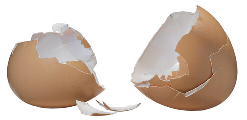 Broken range fed chicken egg shells isolated in a png