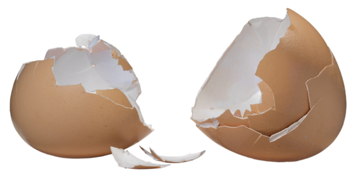 Broken range fed chicken egg shells isolated in a png