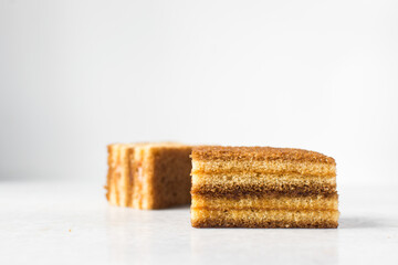 slice of vanilla cake with jam filling, thin layers of vanilla and chocolate cake with jam filling on a white background