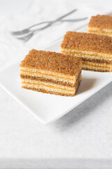 slice of vanilla cake with jam filling on a white plate, thin layers of vanilla and chocolate cake with jam filling on a white background