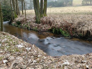 river in the forest, Dolní Paseky, Czech Republic