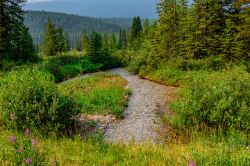Fototapeta na wymiar Bow Valley Pkwy Banff National Park Alberta Canada