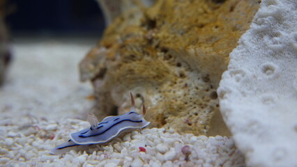 水族館